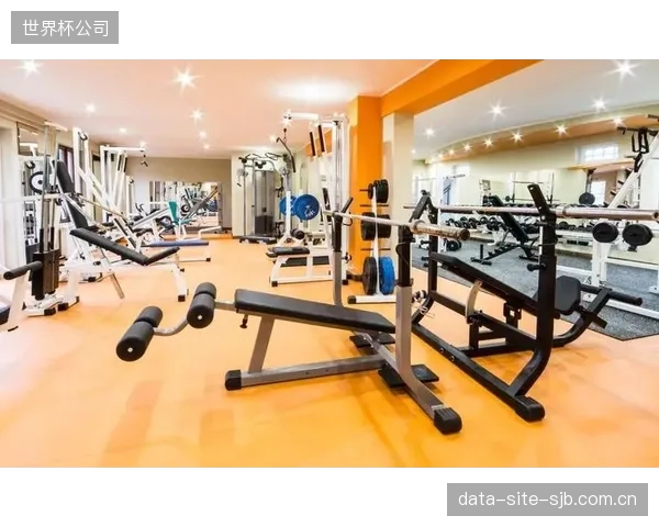 当头部健身房连锁陷入危机，风险模型为何始终对预付费模式的结构性缺陷保持沉默？